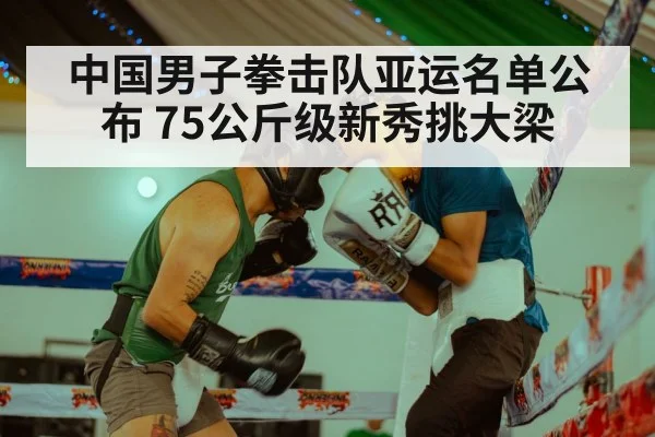 中国男子拳击队亚运名单公布 75公斤级新秀挑大梁